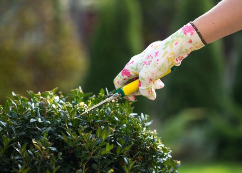 Responsible gardening service maintaining health and safety standards