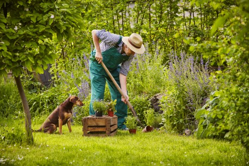 Image representing marketing cookies and user preferences on a gardening site