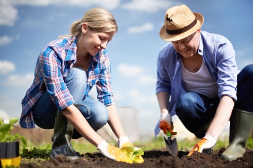 Landscape design features for a North Finchley garden
