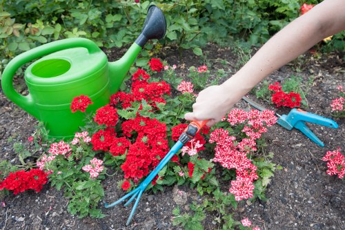 Green waste and debris removal during garden clearance