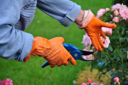 Gardening service terms introduction image