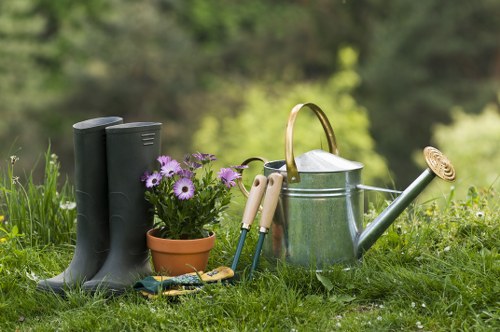 Garden lawn mowing service in North Finchley