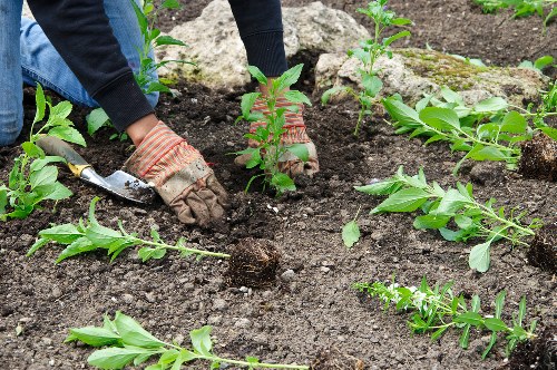Annual review of anti-slavery controls for Gardeners North Finchley