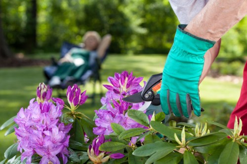 Low-carbon van used for sustainable gardening collections