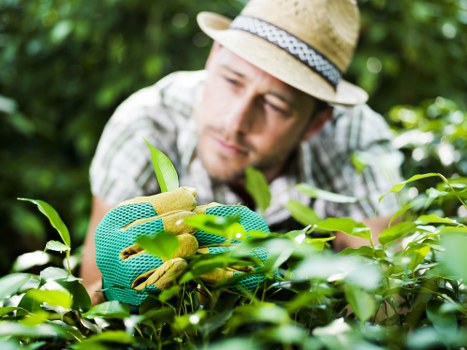 Transparent pricing for local garden services in North Finchley