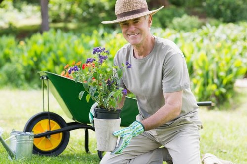 Lawn care and garden maintenance in North Finchley outdoor space