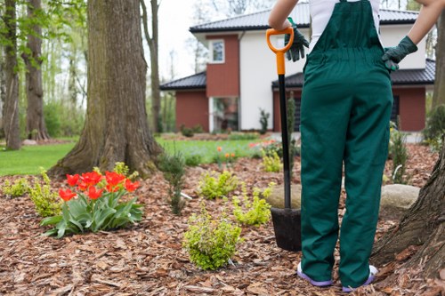 Safe tree surgery equipment used in North Finchley garden work