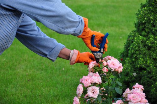 Soft landscaping and garden improvement services in North Finchley