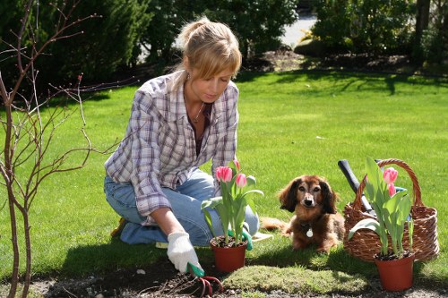 North Finchley gardening specialists caring for a vibrant green garden
