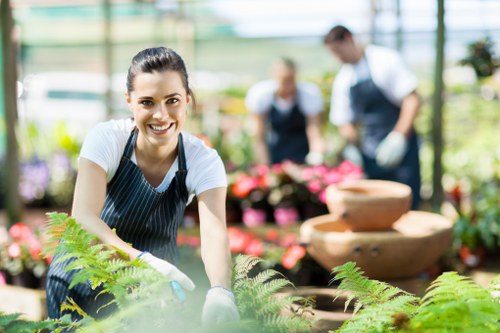 Improving soil health for better lawn care in North Finchley