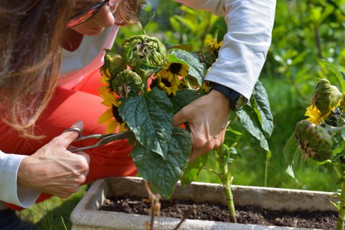 Professional gardener using protective equipment during routine garden work