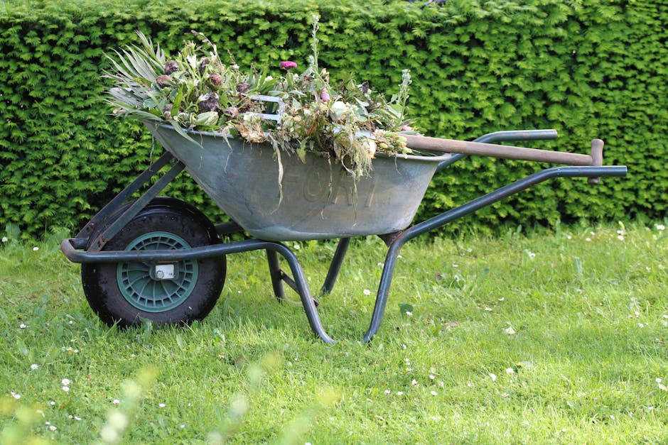A metal wheelbarrow filled with a variety of garden waste, including plant stems, leaves, and flowers, resting on a well-maintained grassy lawn. The wheelbarrow has black handles and a single black ru