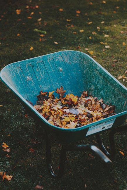 A blue wheelbarrow filled with a mixture of fallen autumn leaves, positioned on a damp grassy garden area. The surrounding lawn is dark green with patches of soil and scattered yellow and orange leave
