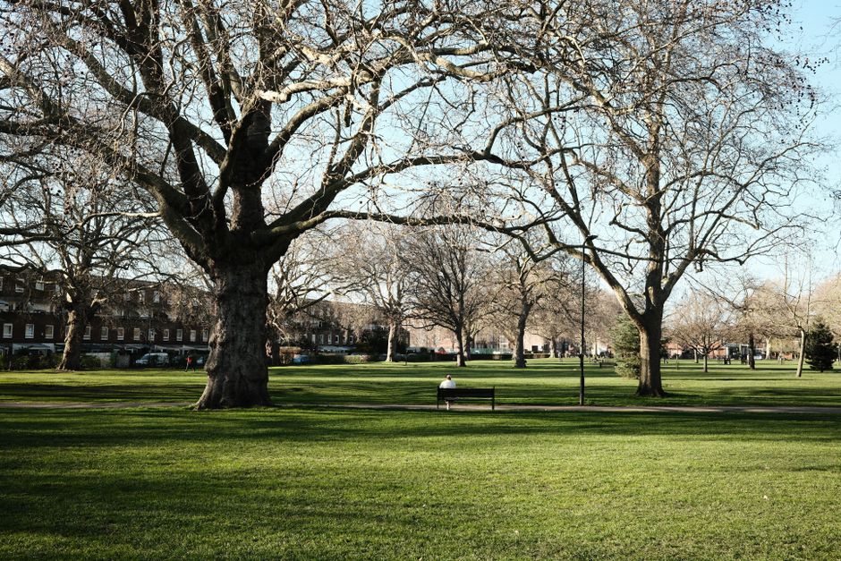 A paved pathway running straight through a lush, green park lined with tall, mature trees on both sides, their branches arching overhead to create a canopy of fresh, bright green leaves. The trees hav